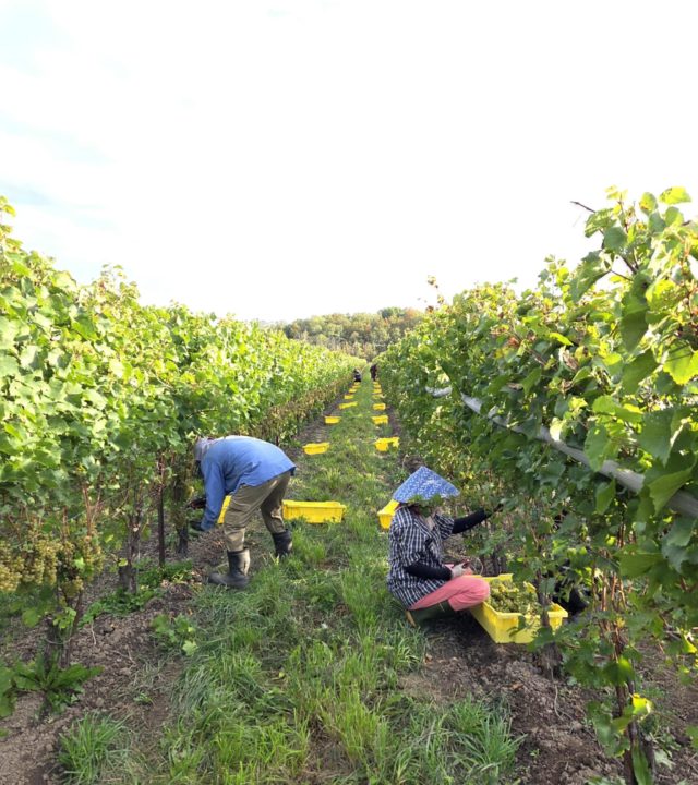 att.Atax14gmZdTb7WWO-JWBuBmFIE-1fL7wFAuyQACGXqY