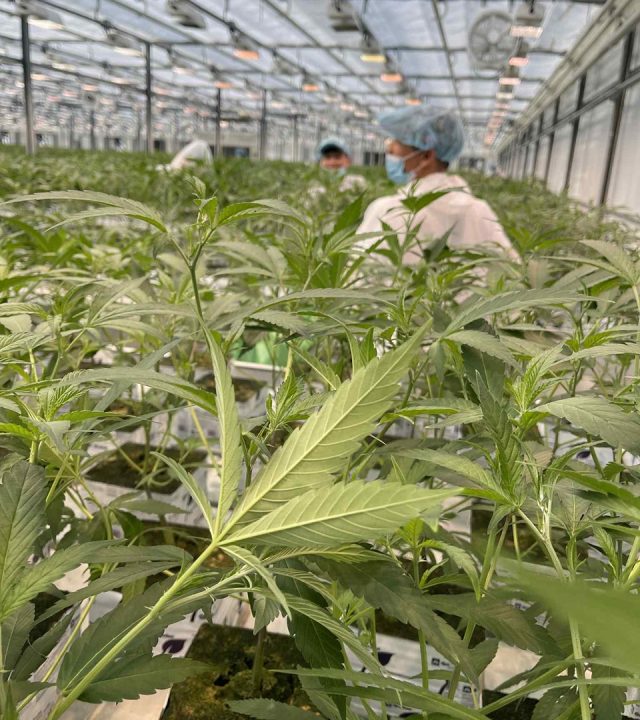 att.tncH8nD3kchVFusryCjgsGjdh8405qM5GLjRwgbFYew